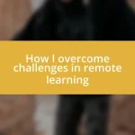 How I overcome challenges in remote learning